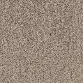 Textured Saxony Pelican Brown Carpet