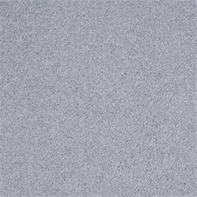 Textured Saxony Island Life Gray Carpet