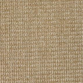 Pattern Content Beige/Tan Carpet