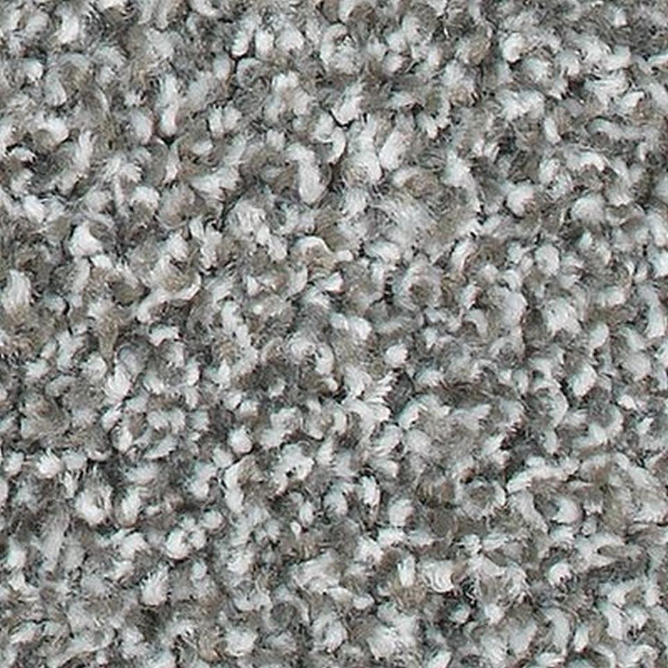 Textured Saxony Stone Path Gray Carpet