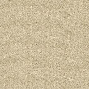 Textured Saxony Desert Villa Beige/Tan Carpet