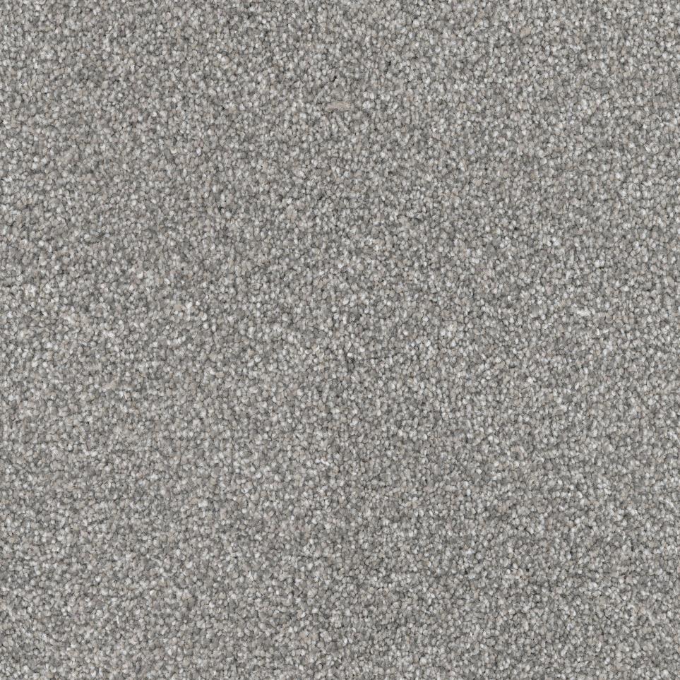 Textured Saxony Frenchie Gray Carpet