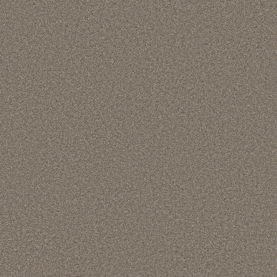 Texture Timber Brown Carpet