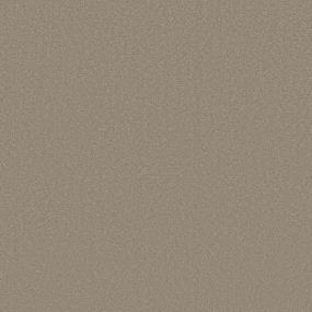 Textured Saxony Ecru Beige/Tan Carpet