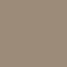 Textured Saxony Ecru Beige/Tan Carpet