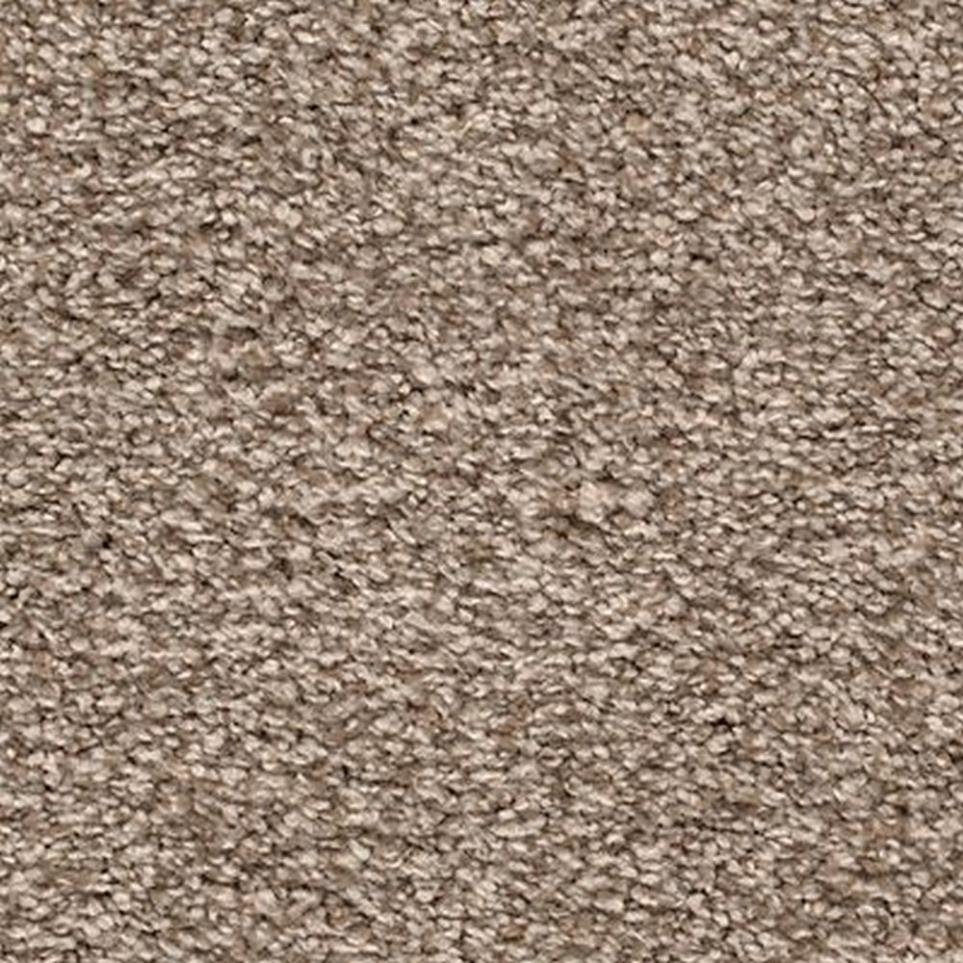 Textured Saxony Sundial Brown Carpet