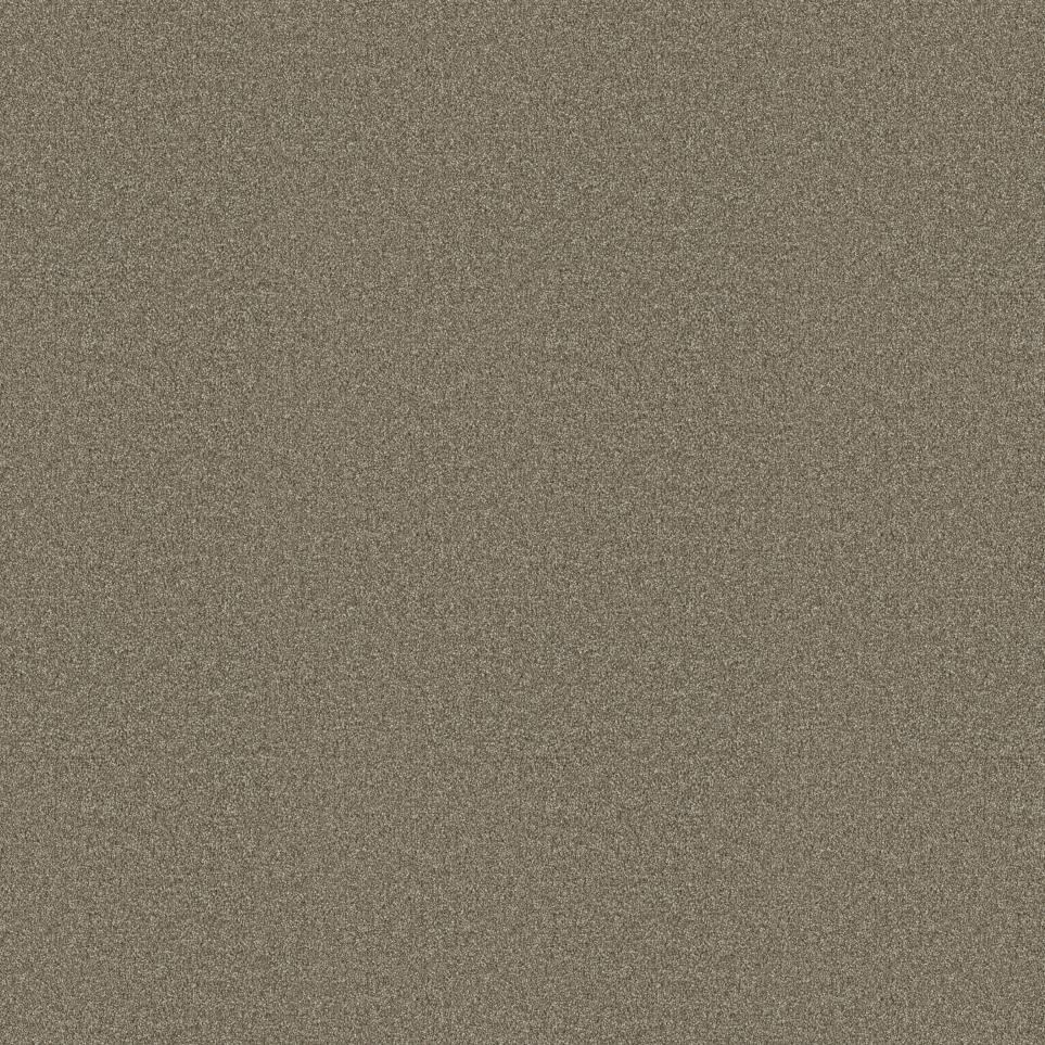 Texture Diplomat Beige/Tan Carpet