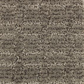 Pattern Mineral Brown Brown Carpet