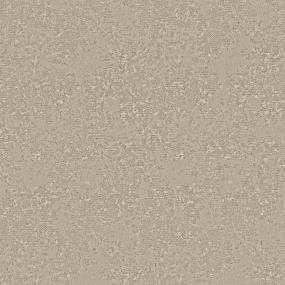 Pattern Pecan Dust Beige/Tan Carpet