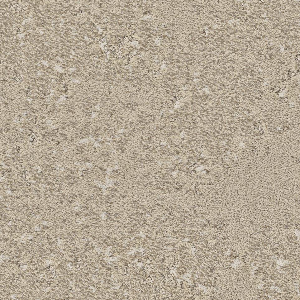 Pattern Pecan Dust Beige/Tan Carpet