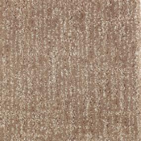 Pattern Native Soil Beige/Tan Carpet