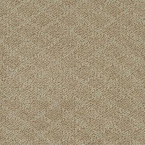 Pattern Avenue Brown Carpet