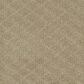 Pattern Avenue Brown Carpet