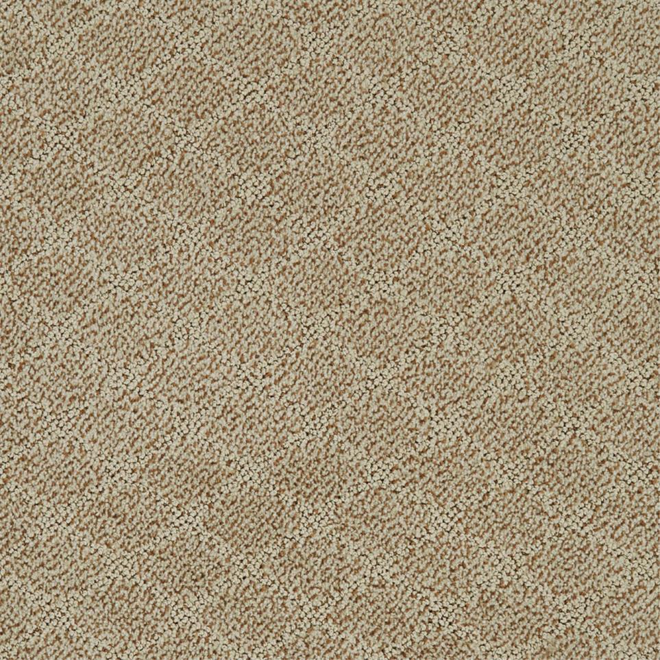 Pattern Avenue Brown Carpet