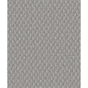 Loop Snazzy Gray Carpet