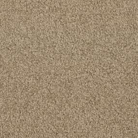 Casual Texture Seahorse Beige/Tan Carpet
