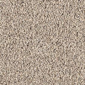 Textured Saxony Opulence Beige/Tan Carpet