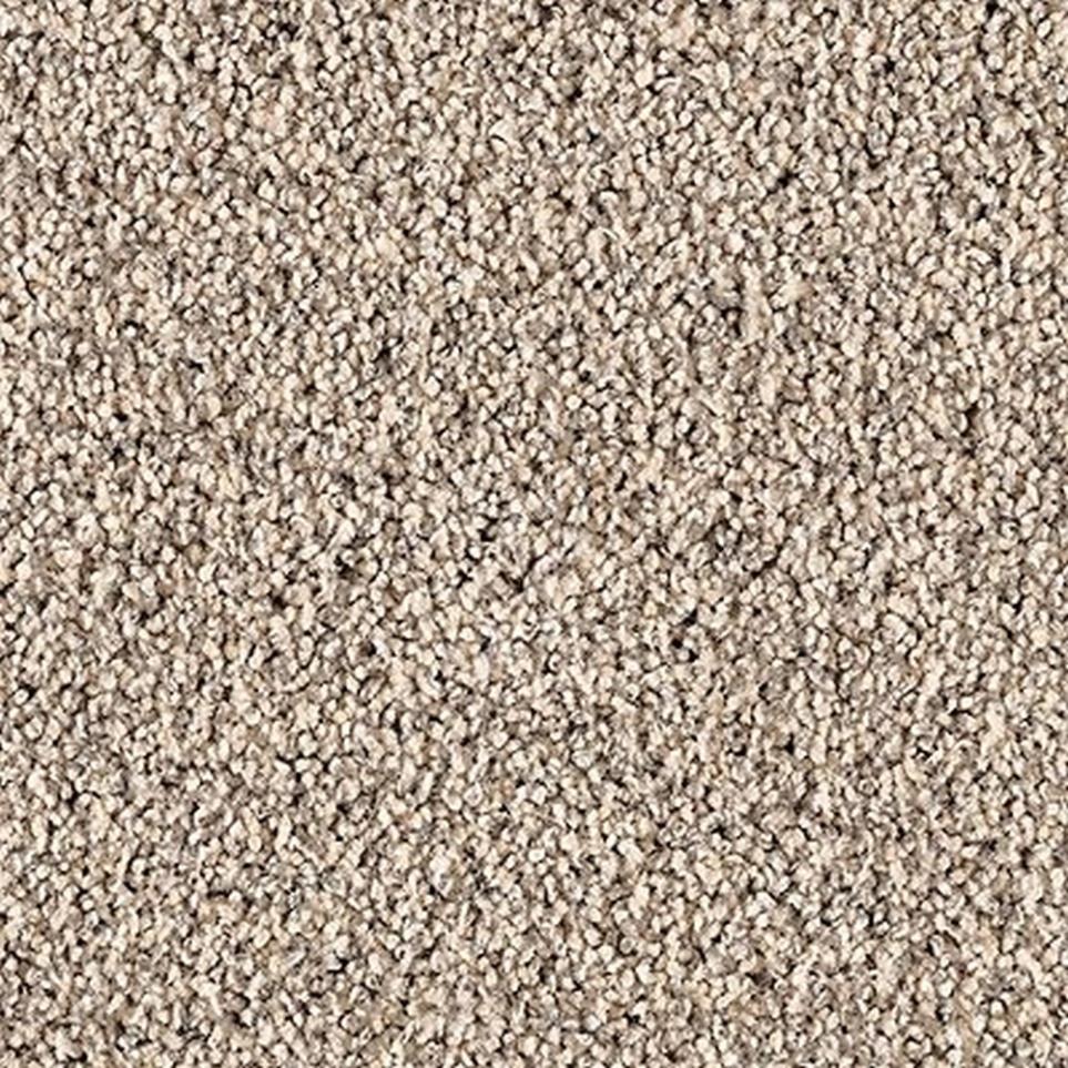 Textured Saxony Opulence Beige/Tan Carpet