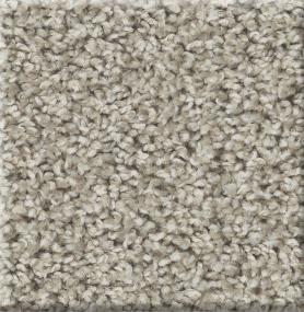 Cut Pile Crafty Gray Carpet