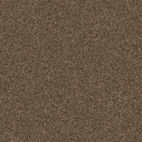 Textured Saxony Utmost Brown Carpet