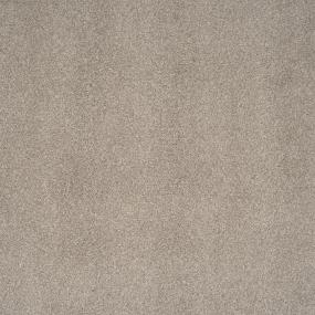 Textured Saxony Marble Beige/Tan Carpet