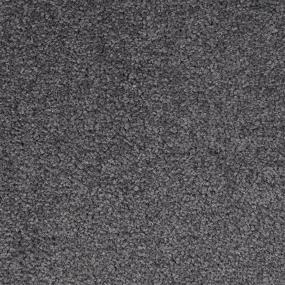 Textured Saxony Notable Black Carpet