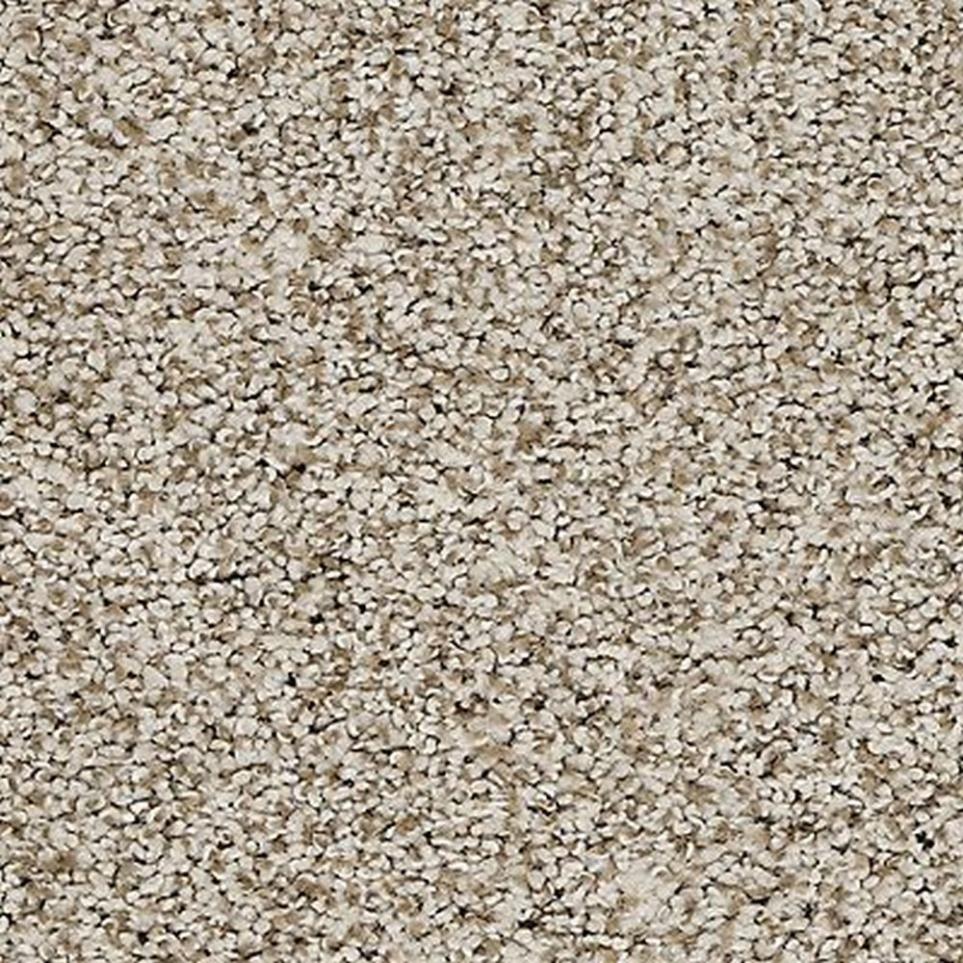 Textured Saxony Sugar Dust Beige/Tan Carpet