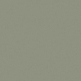 Texture Sage Green Carpet