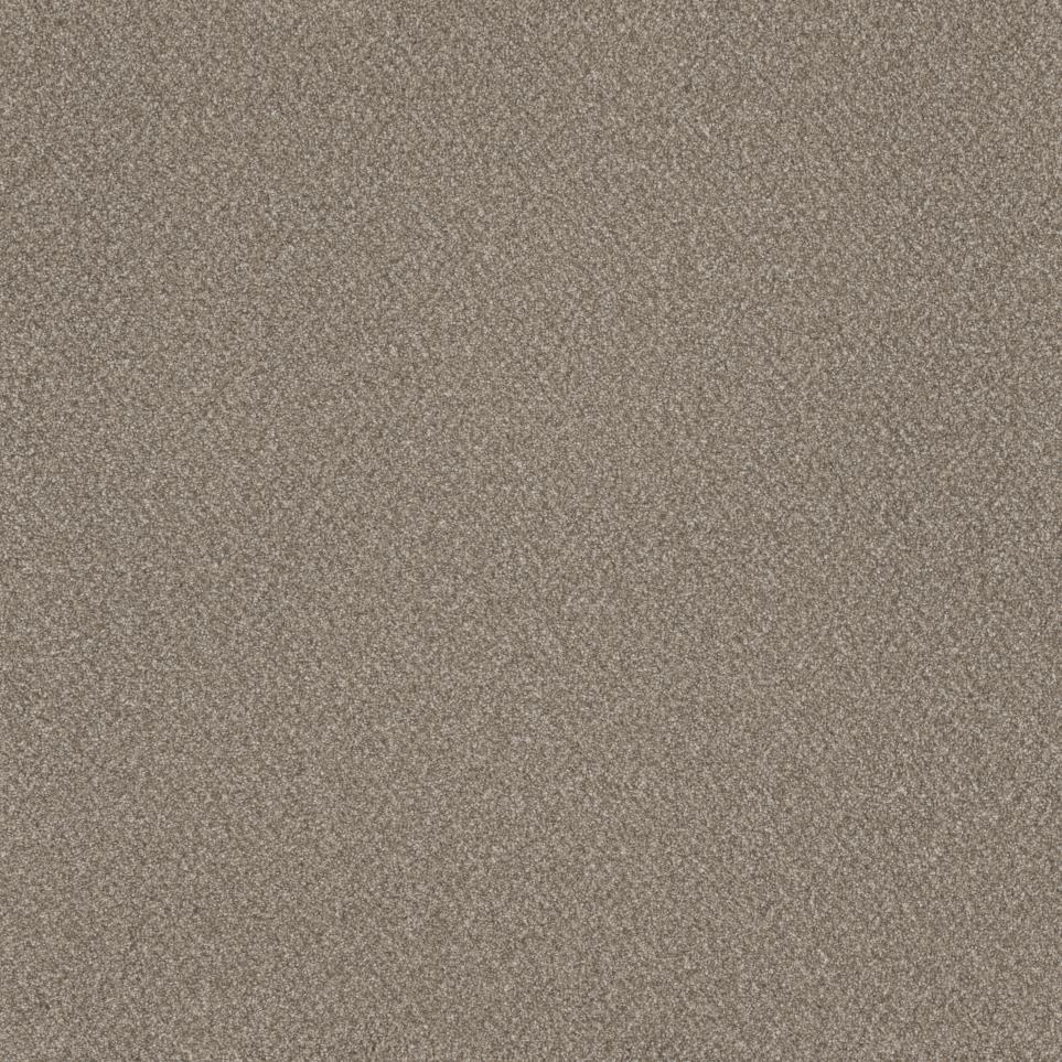 Texture Life Style Brown Carpet