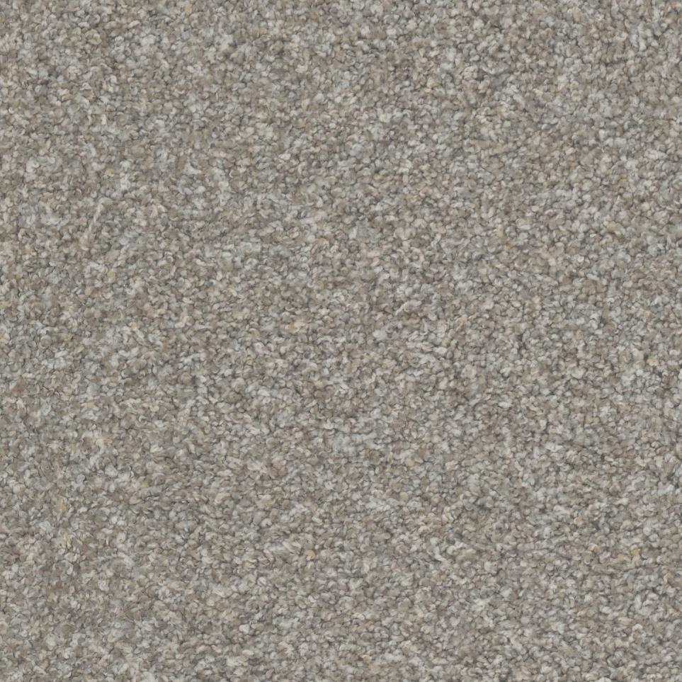 Texture Attractive Beige/Tan Carpet