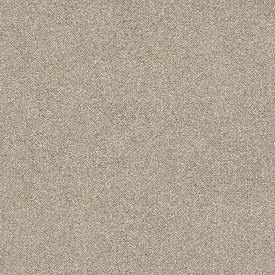 Plush Saxony Sands Of Time Beige/Tan Carpet