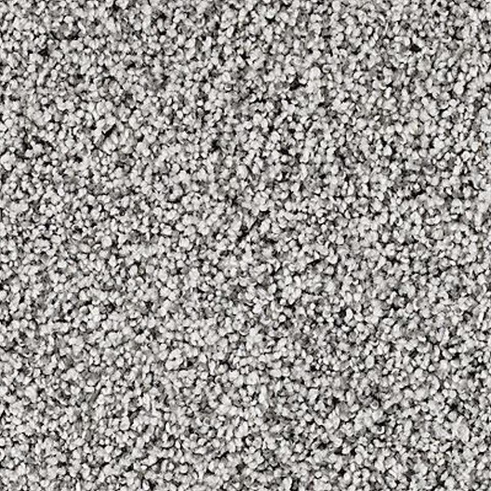Textured Saxony Marina Gray Carpet