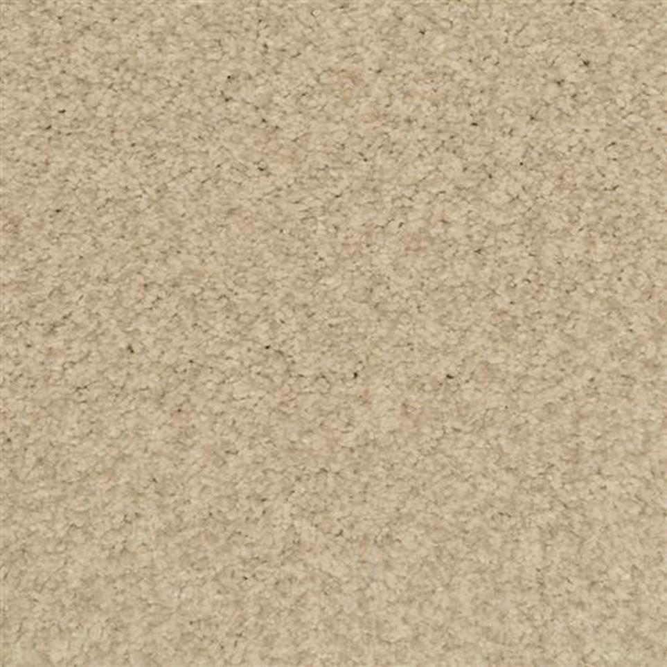Casual Texture Antique Pearl Beige/Tan Carpet