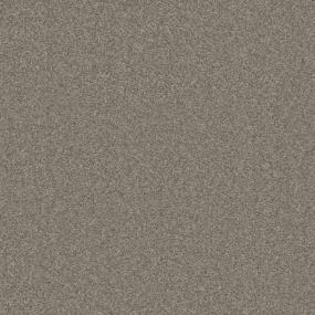 Textured Saxony Weathered Wood Gray Carpet