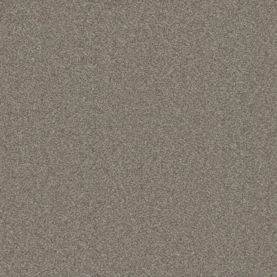 Textured Saxony Weathered Wood Gray Carpet