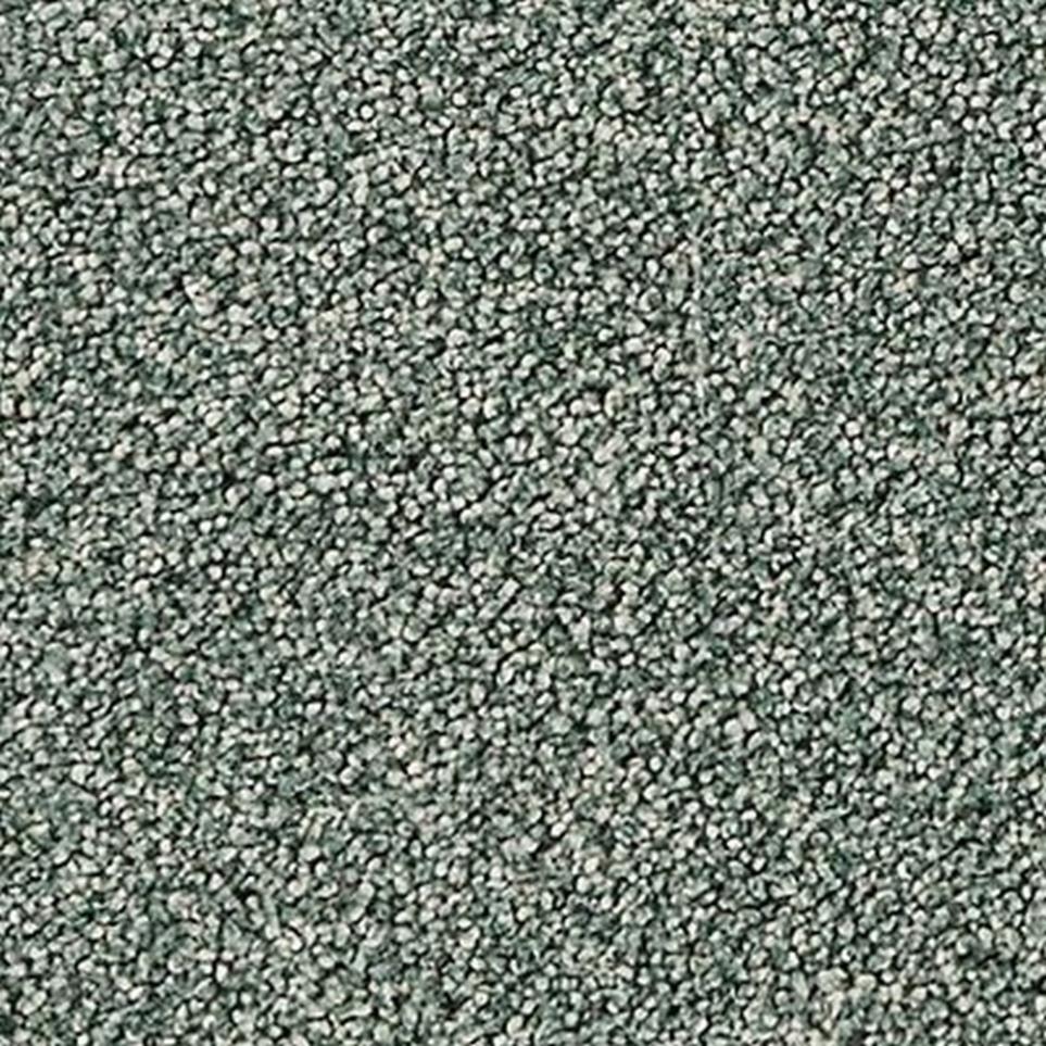 Textured Saxony MOSS GROVE Gray Carpet