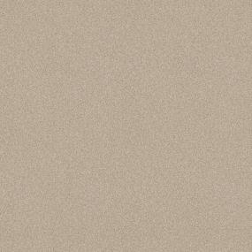 Textured Saxony Navajo Beige/Tan Carpet