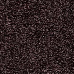 Textured Saxony Plumeria Purple Carpet