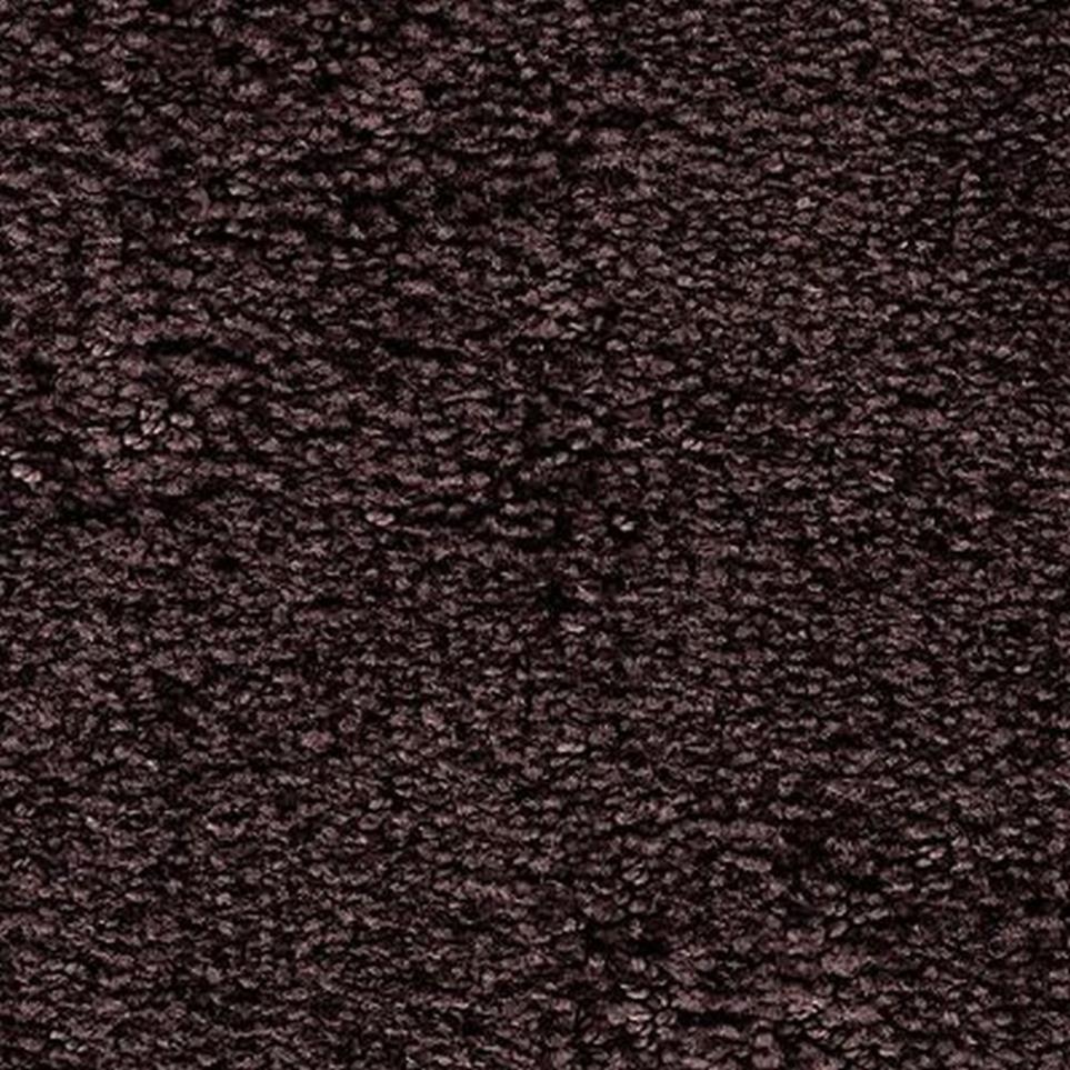 Textured Saxony Plumeria Purple Carpet