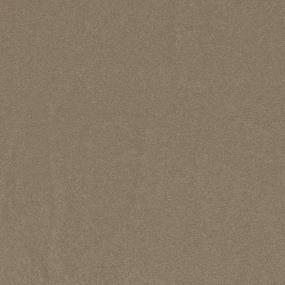 Textured Saxony Toffee Nut Brown Carpet