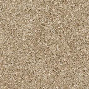 Texture Toffee Nut Brown Carpet