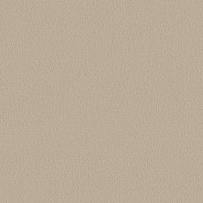 Pattern Champagne Beige/Tan Carpet