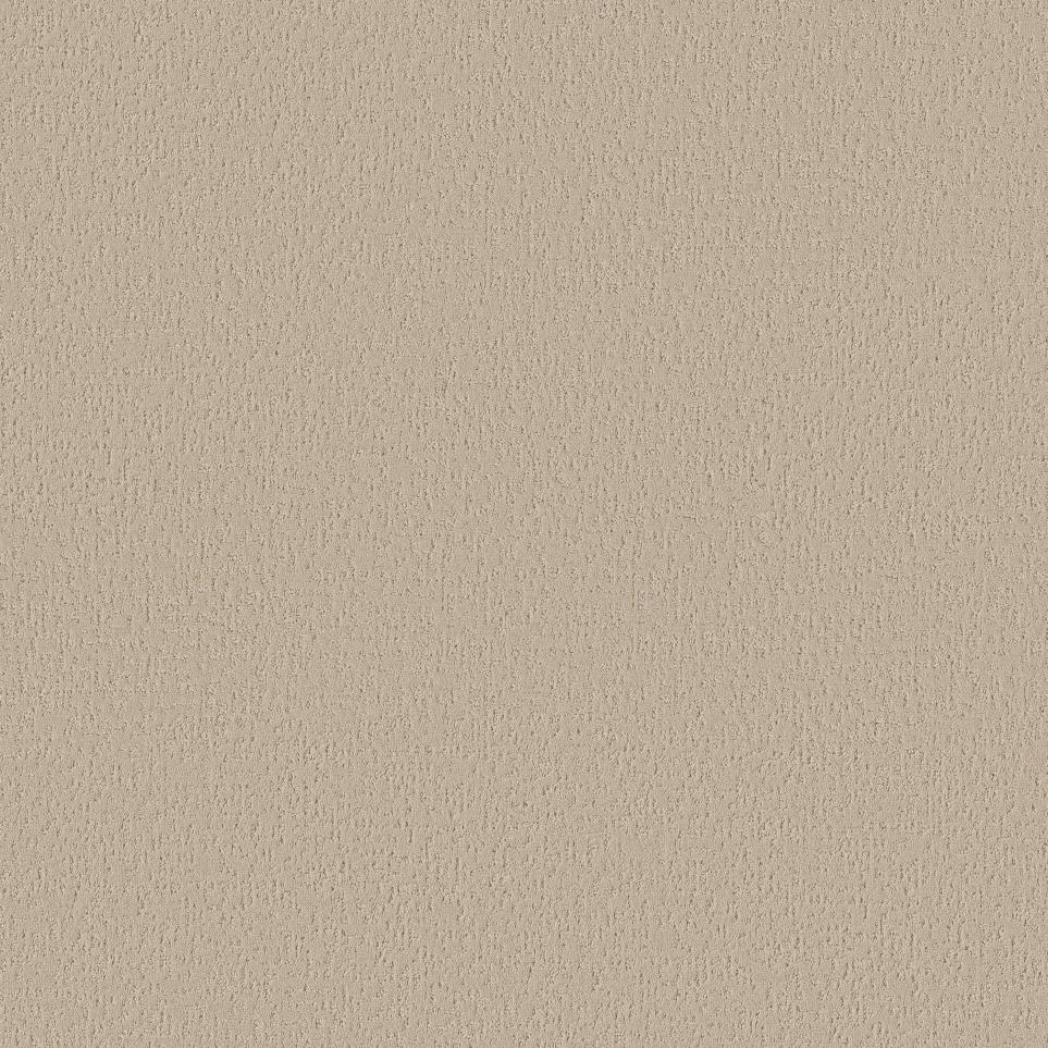 Pattern Champagne Beige/Tan Carpet