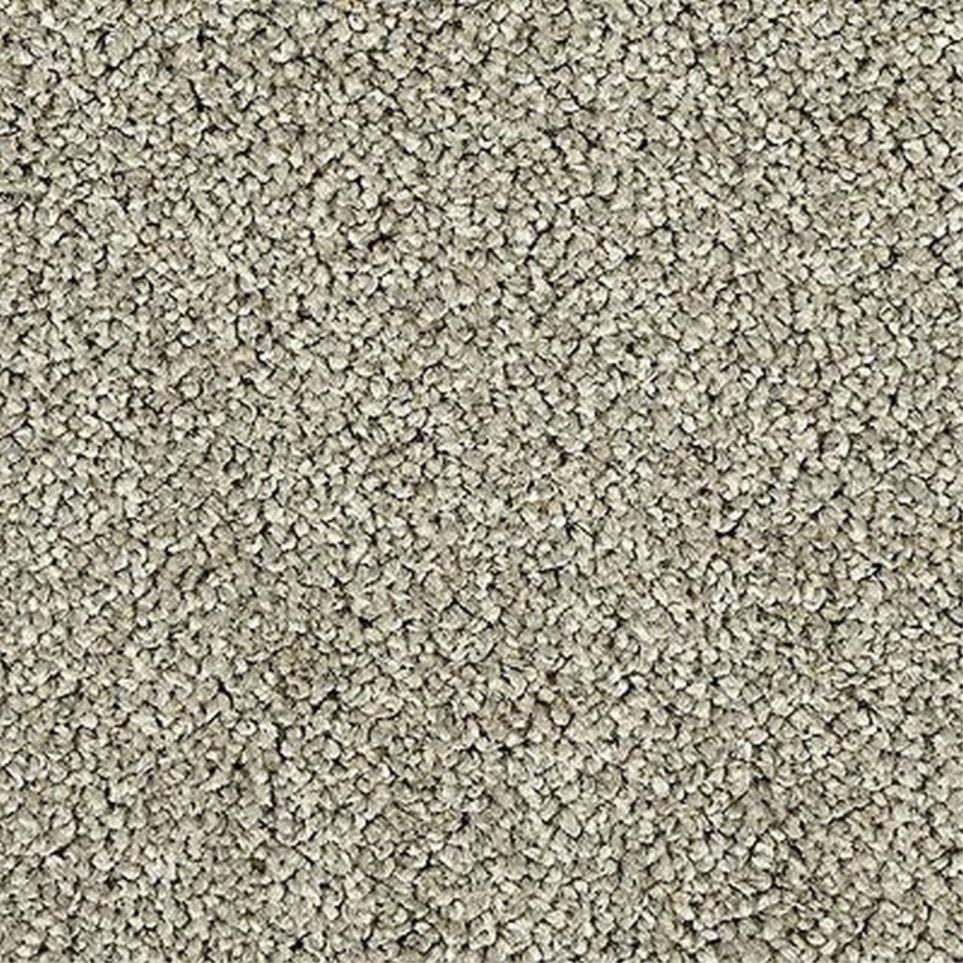 Textured Saxony Gravel Dust Gray Carpet