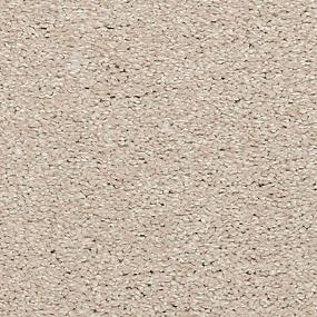 Stunning 12 Texture Carpet Dubray Best Prosource Whole