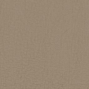 Pattern Sandstone Beige/Tan Carpet
