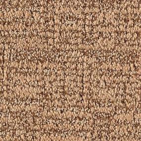 Pattern Cedar Shingles Beige/Tan Carpet