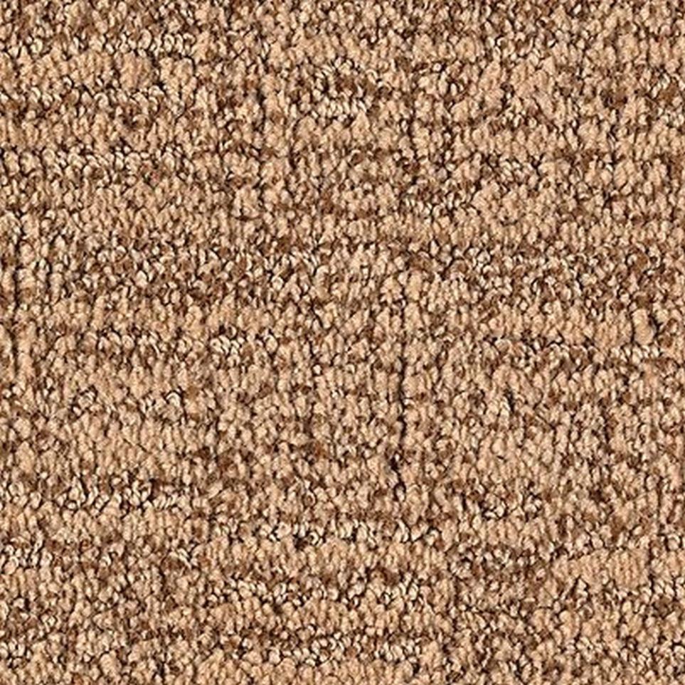 Pattern Cedar Shingles Beige/Tan Carpet