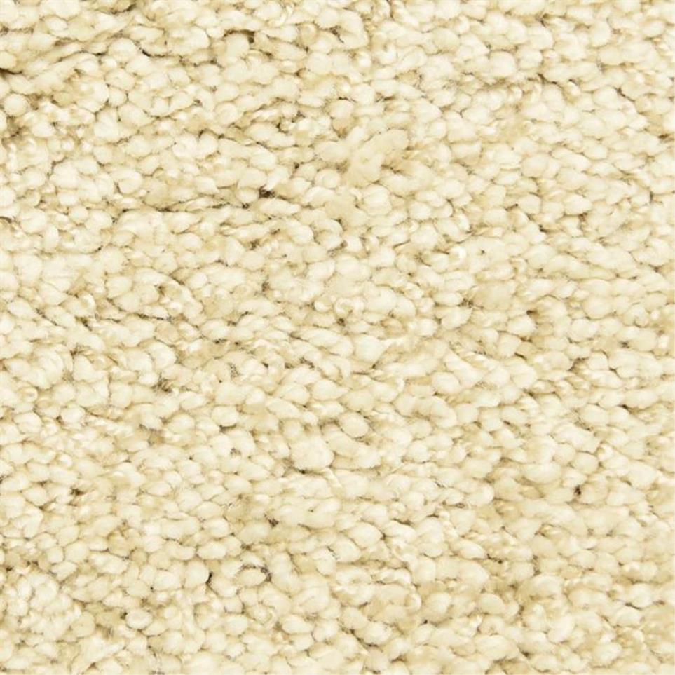 Casual Texture Elusive Beige/Tan Carpet