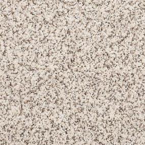 Textured Saxony Whispering Sands Beige/Tan Carpet